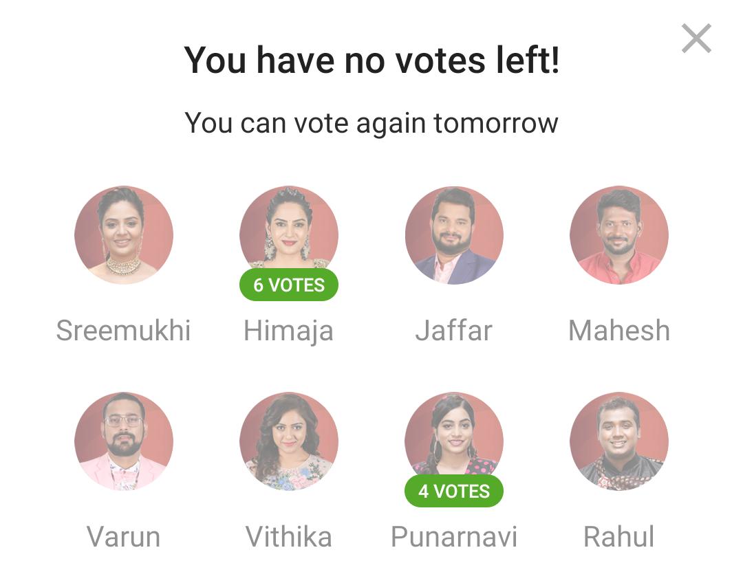 Bigg Boss 3 Telugu Vote: Sreemukhi, Himaja, Jaffar, Mahesh Vitta, Varun, Vithika, Punarnavi, and Rahul Nominated