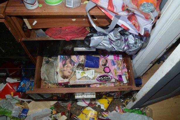 Six kids lived in mouse-infested 'Victorian slum' house of horrors covered in dog poo A dead mouse was found in a bedroom drawer