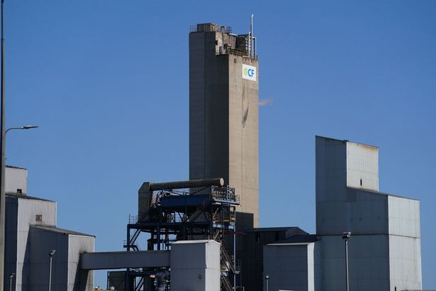 'No-one is going to starve to death this winter – the shelves will not be empty' High energy prices has led to a shortage of CO2