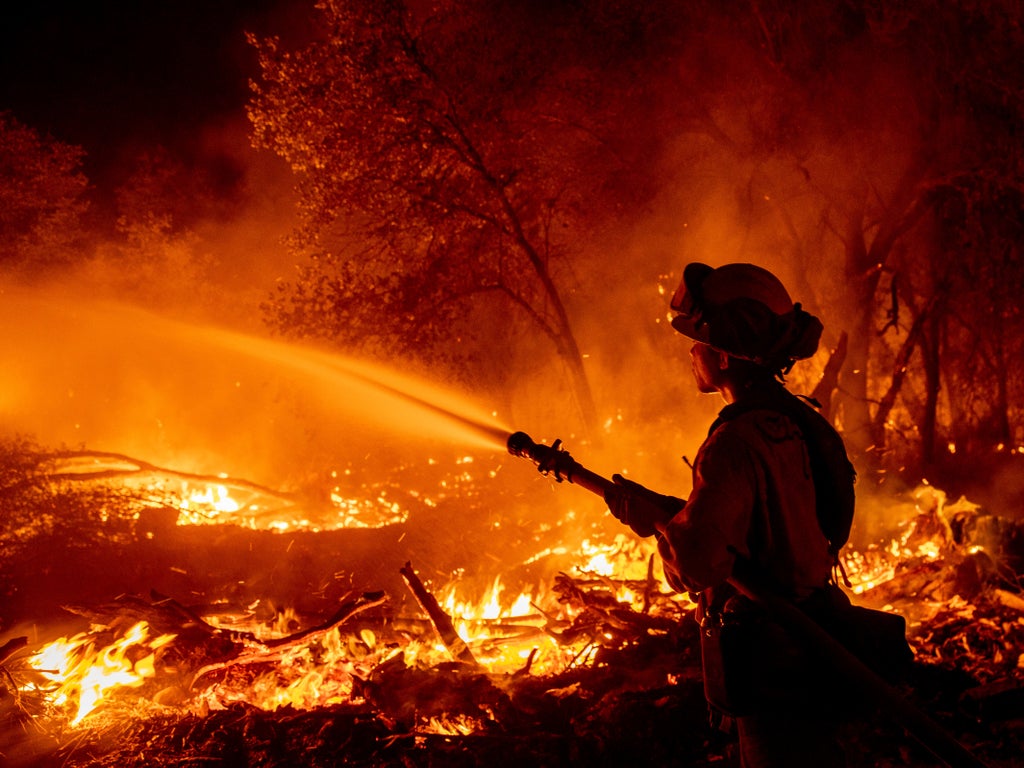 Arsonist charged for California wildfire was ‘boiling bear urine’