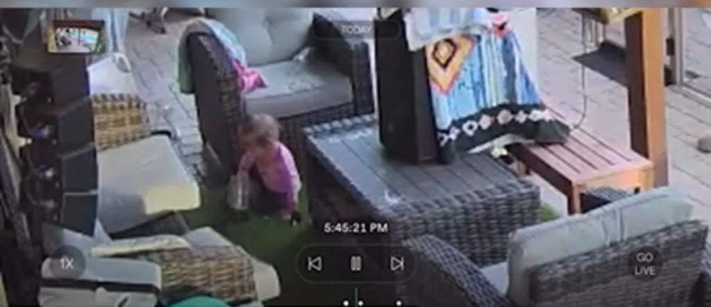 Dad screams after noticing his 18-month-old daughter is playing with a tarantula