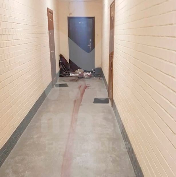 'Jealous' husband of 'sex coach', 25, confesses to throwing her body from high-rise The personal trainer told his interrogators he murdered his wife at their St Petersburg apartment