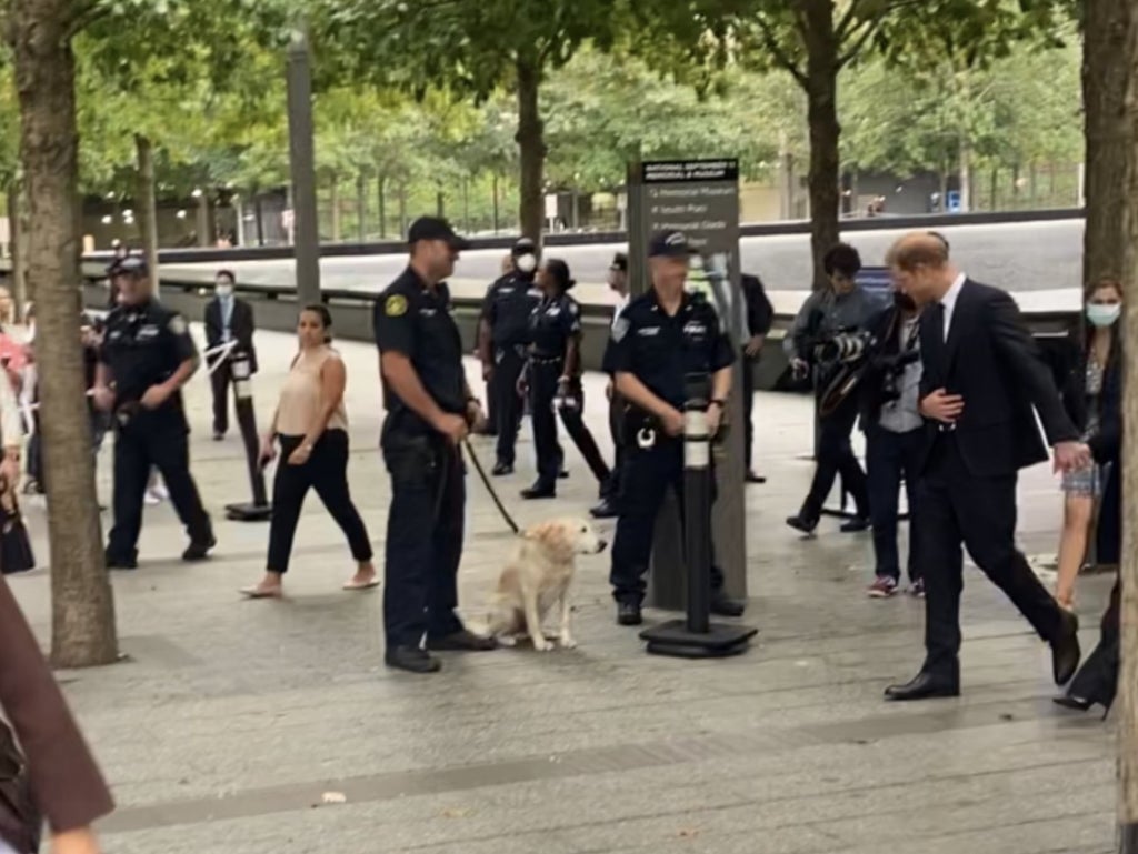 Prince Harry appears to say hello to a dog as he leaves World Trade Center