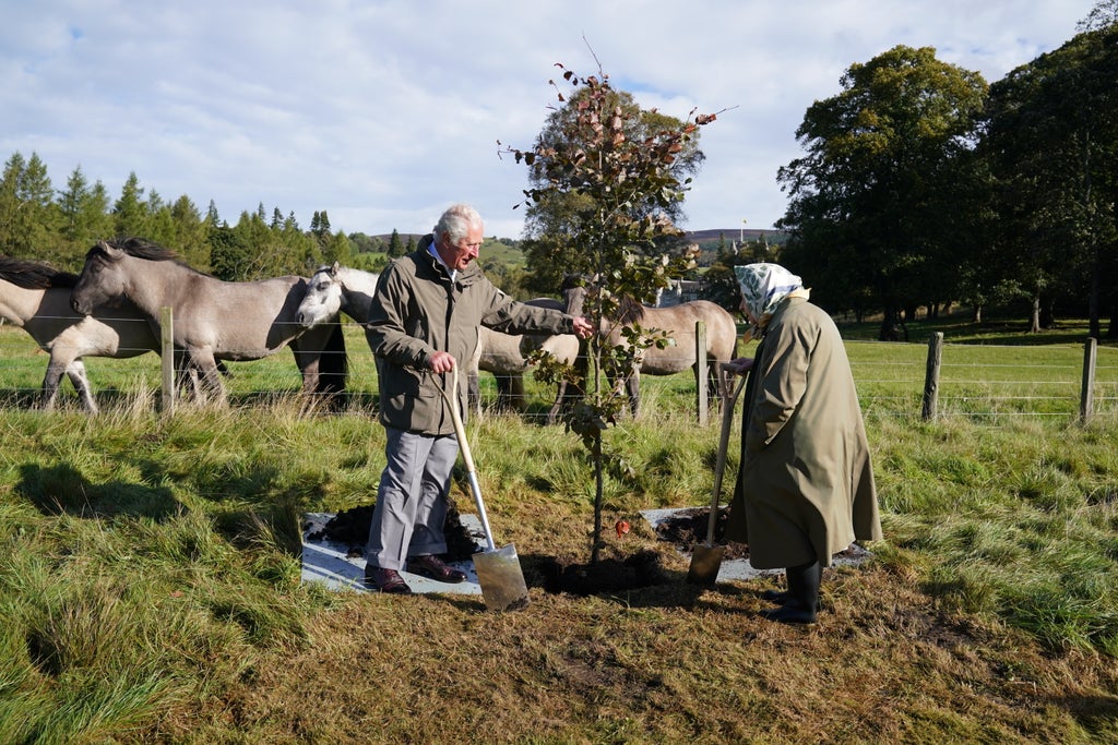 Charles and Queen plant Balmoral tree in a plan to celebrate Platinum Jubilee