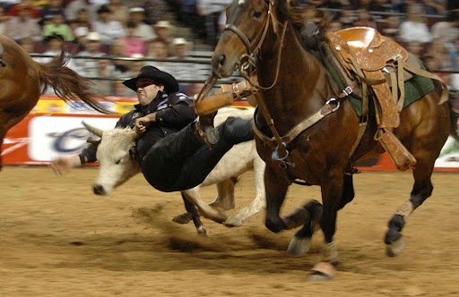 Watch Finals Rodeo For Free!!
