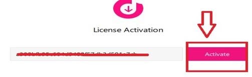 3. Activate the license