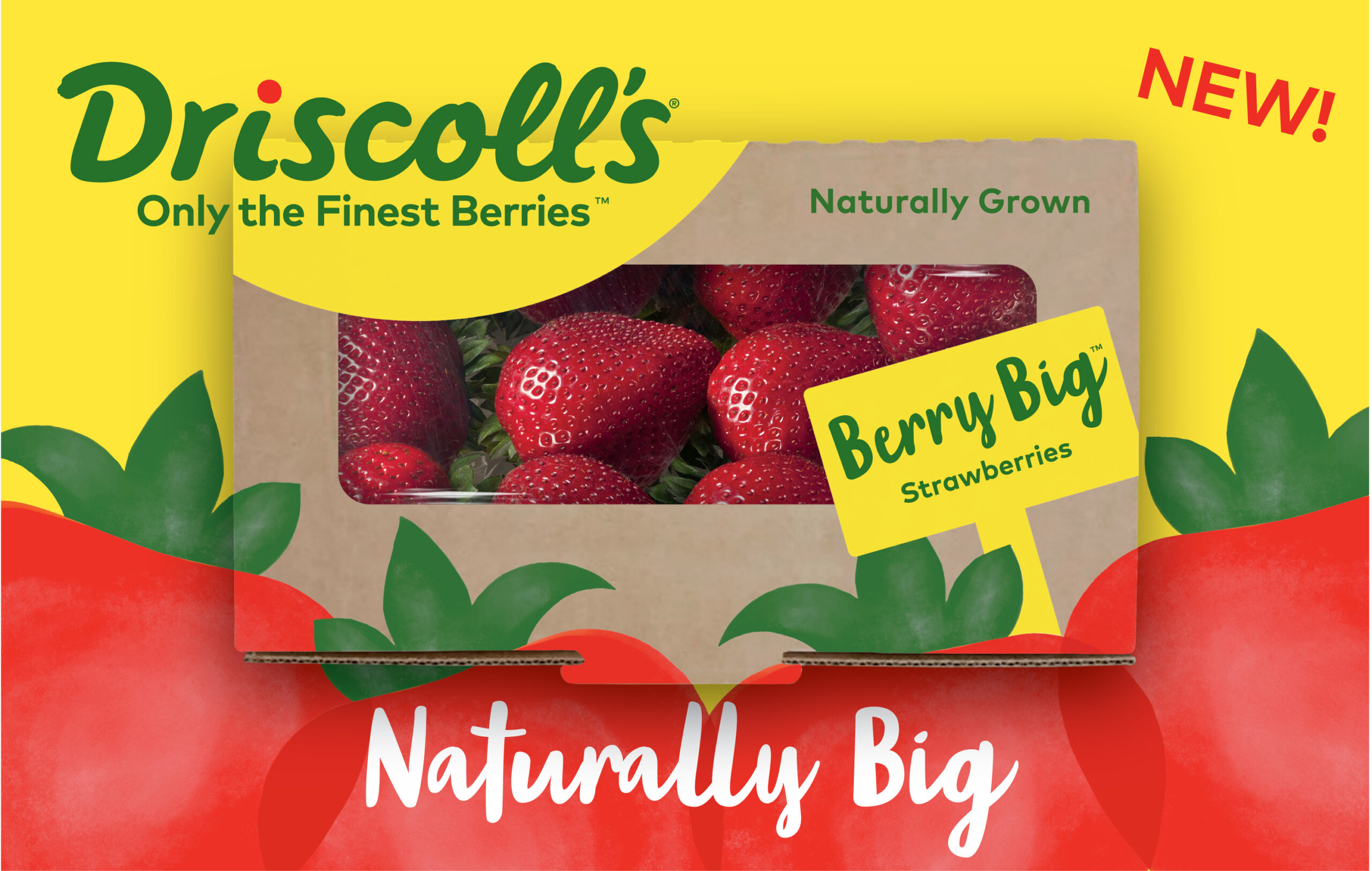 Driscoll's Berry Contest