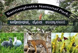 Bannerghatta National Park Bangalore